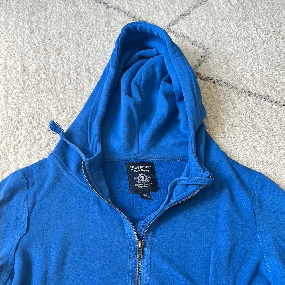 American Eagle Outfitters Blue Long Sleeve Sweatshirt